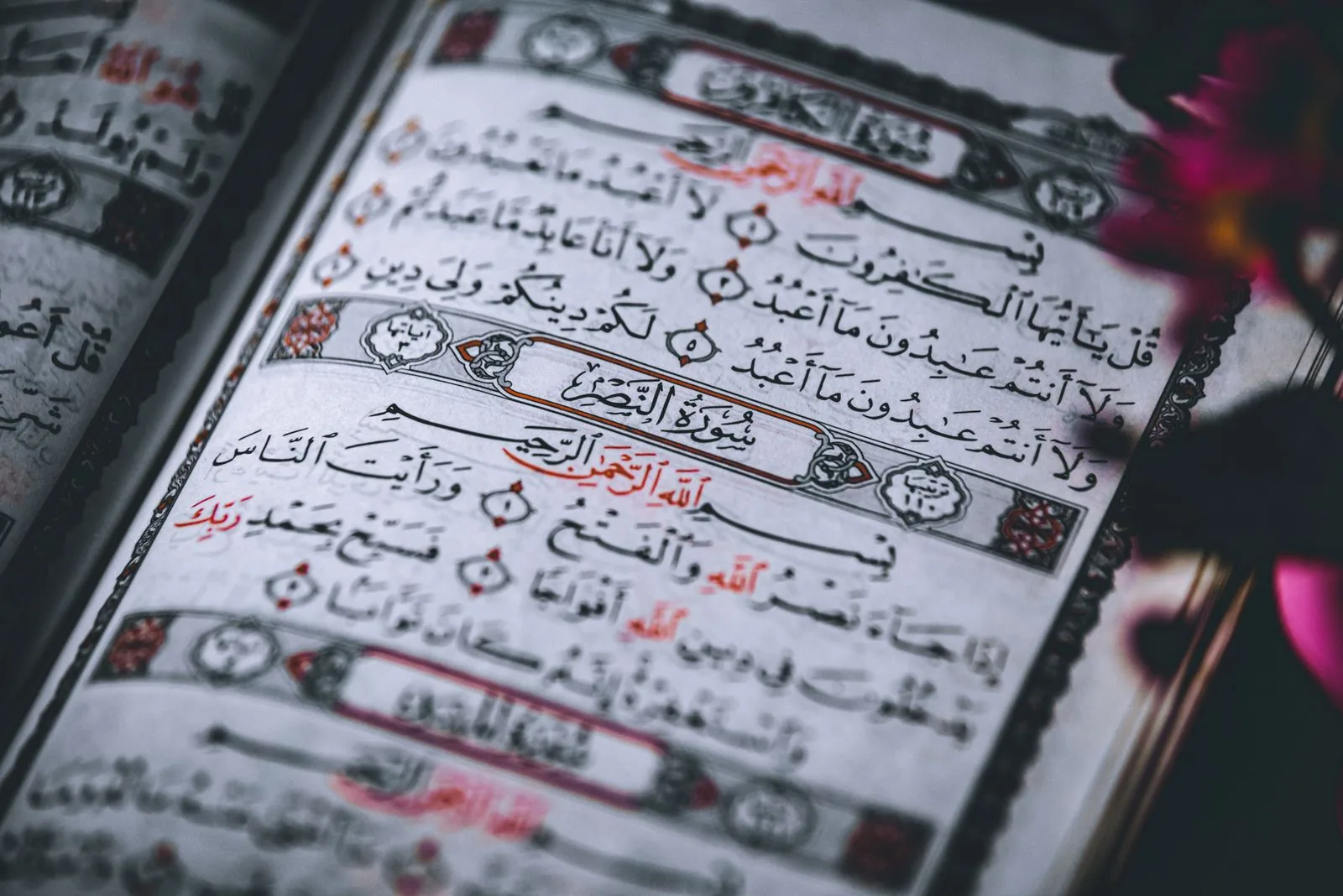 Quran səhifələrinin yaxın planı — sözlərin digər ayələrlə müqayisəsi